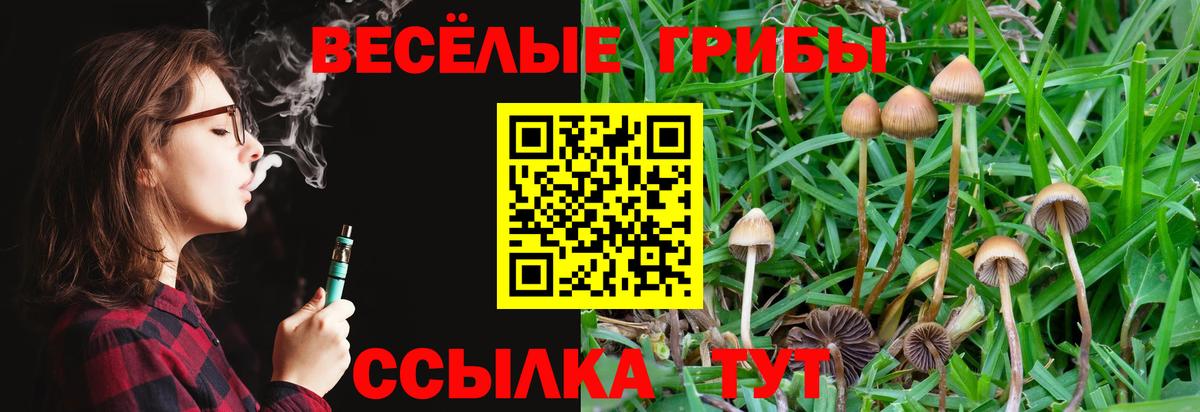 Псилоцибиновые грибы GOLDEN TEACHER  закладка  Галлюциногенные грибы прущие грибы  Выборг  Вход с VPN 
