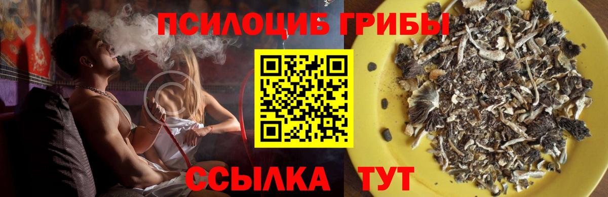 Галлюциногенные грибы Cubensis Выборг